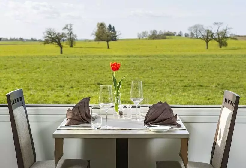 Hotel Seemöwe Swiss Quality