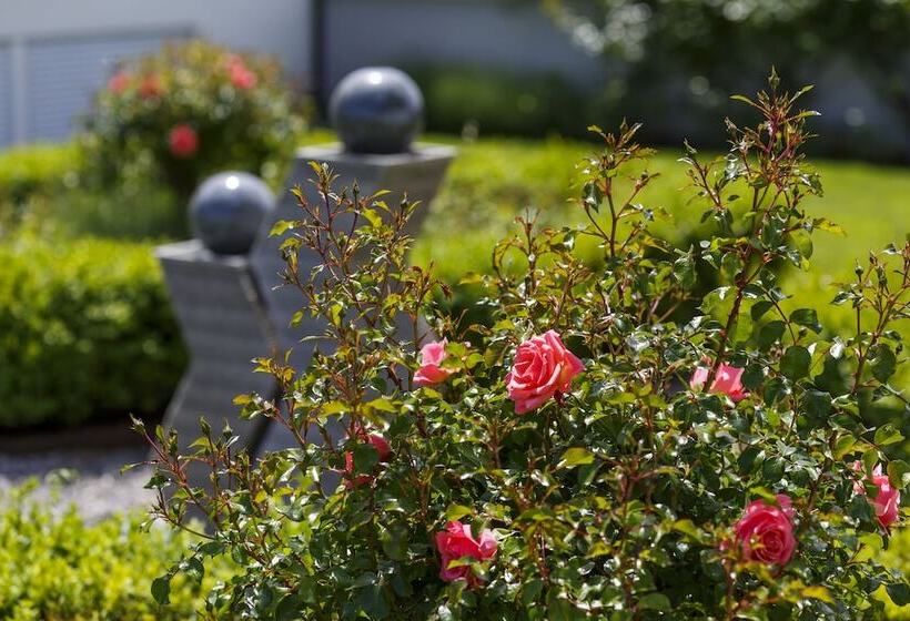 فندق Seemöwe Swiss Quality