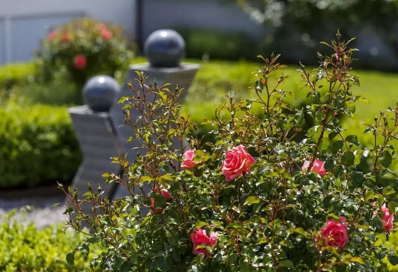 Hotel Seemöwe Swiss Quality