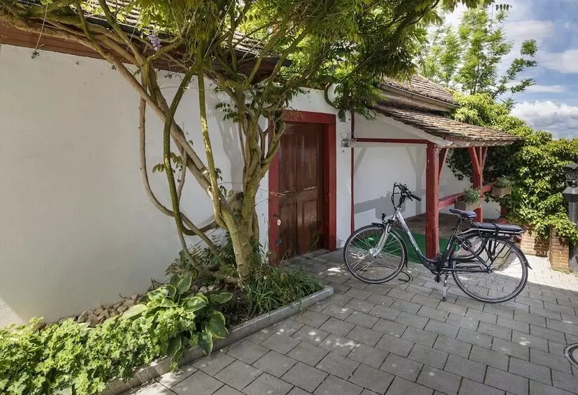 Hotel Seemöwe Swiss Quality