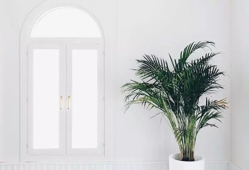 Hotel & Talasoterapia Zelai