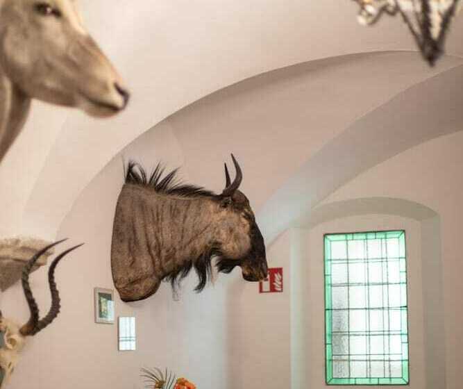 فندق Zum Goldenen Hirschen