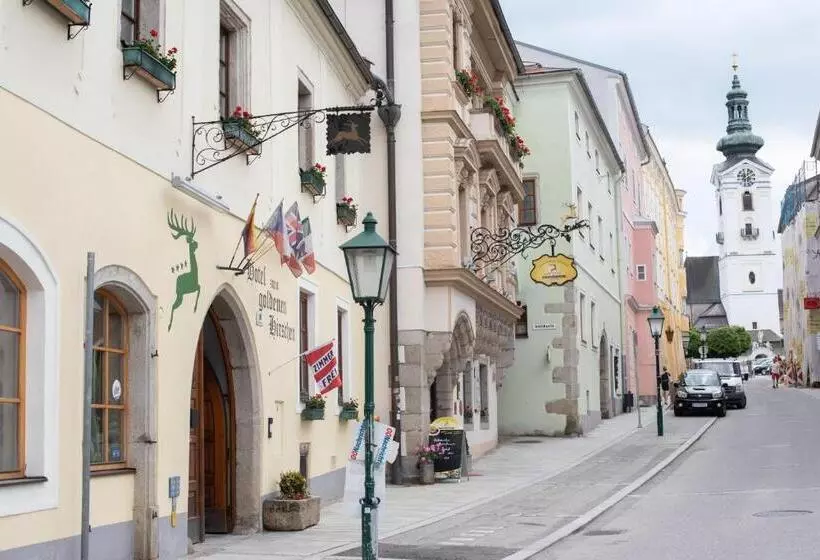 Отель Zum Goldenen Hirschen