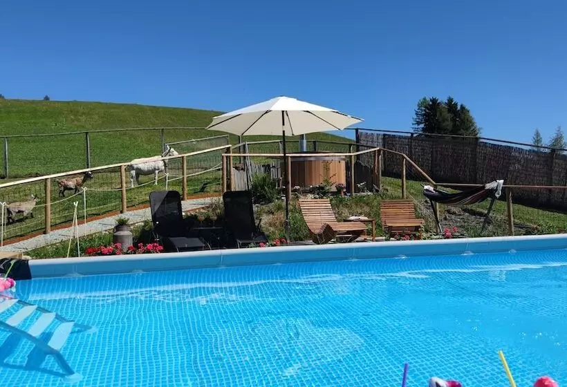 Пансион Gasthaus Alpina