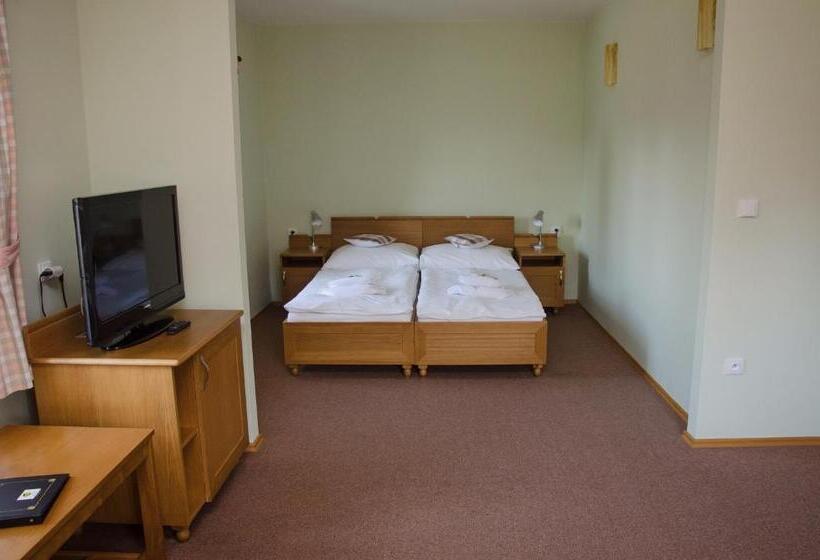 بنسيون Penzion Nad Oborou