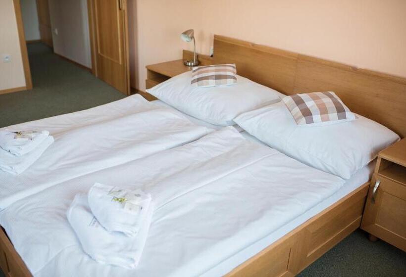 بنسيون Penzion Nad Oborou