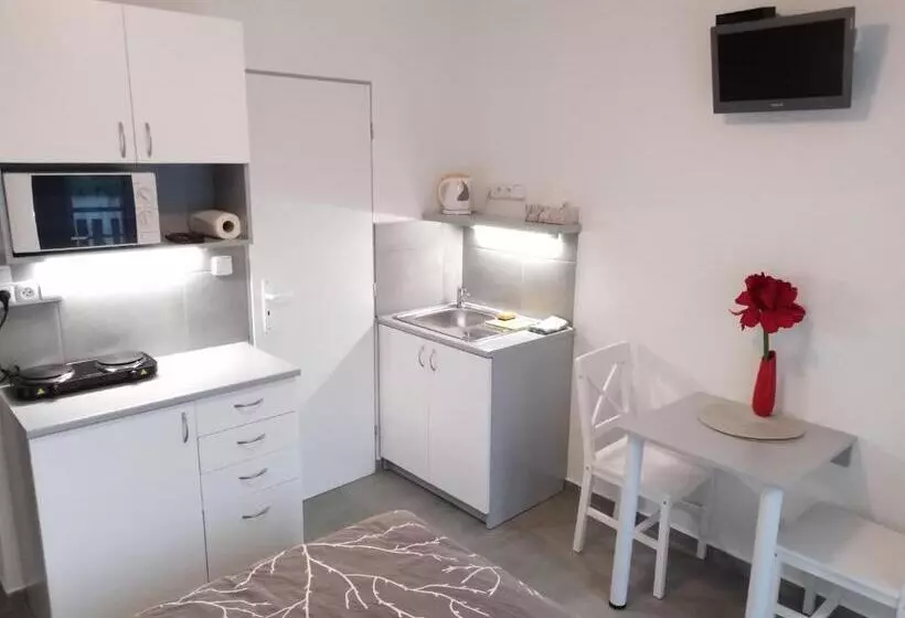 پانسیون Penzion V Roklich & Apartmens V Roklich