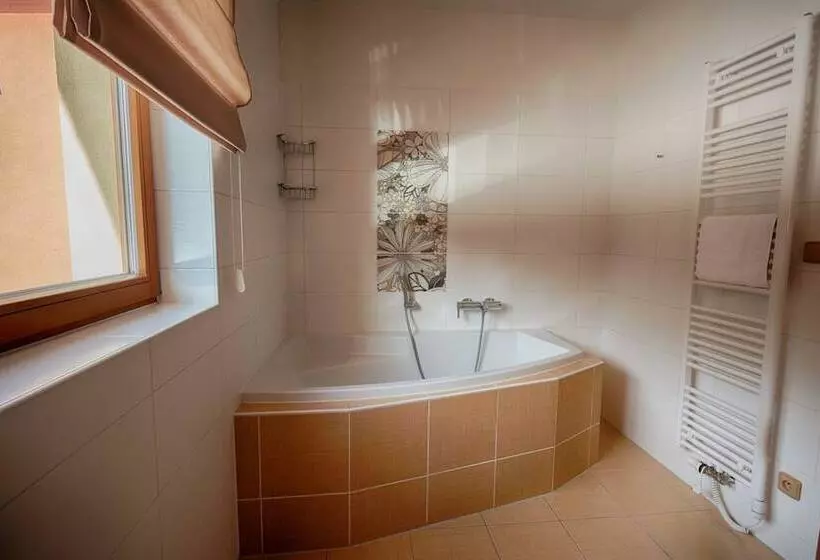 Wellness Resort Energetic