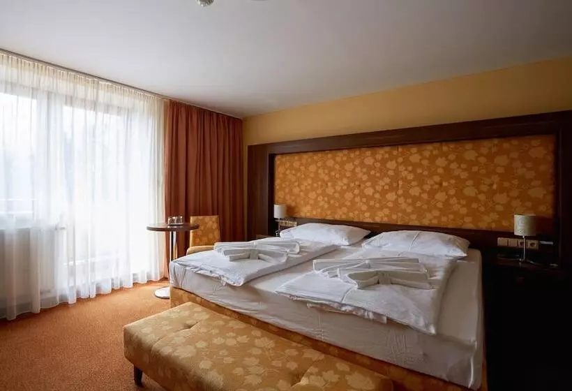 Wellness Resort Energetic