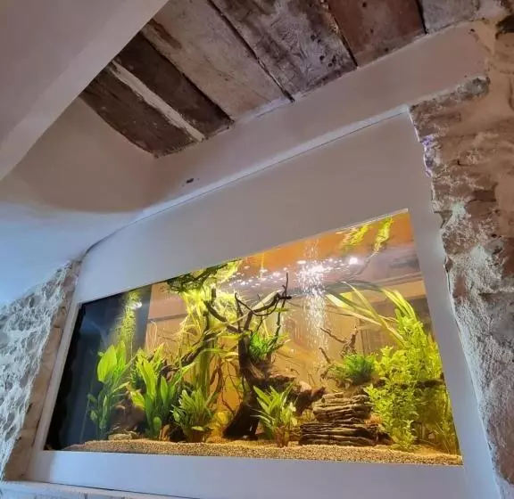 Maison Au Centre Du Village De Gordes Avec Vue Incroyable