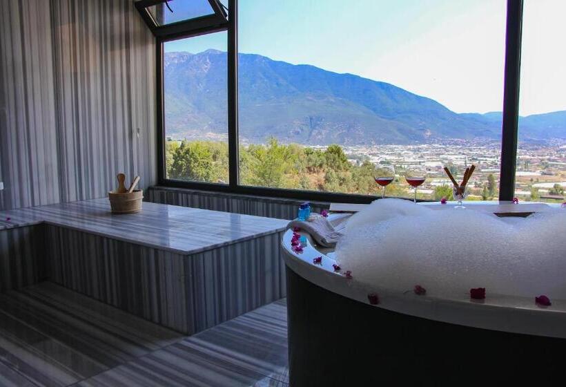 Ultra Lüx Vi̇lla Viranlar