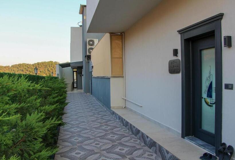 Ultra Lüx Vi̇lla Viranlar