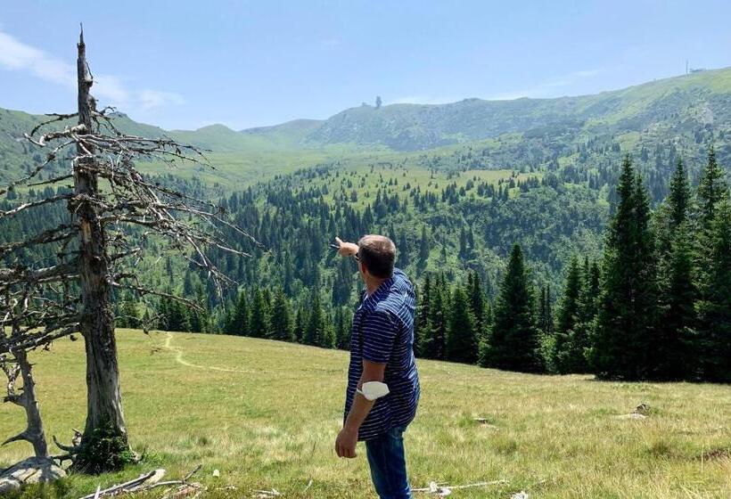 Bergspektive Haus Alpenspa