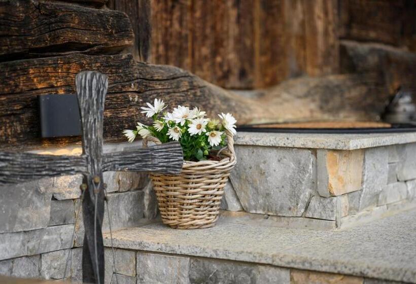 Bergspektive Haus Alpenspa