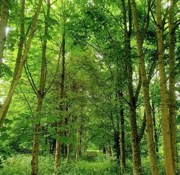 Finest Retreats   Blackbarn Wood