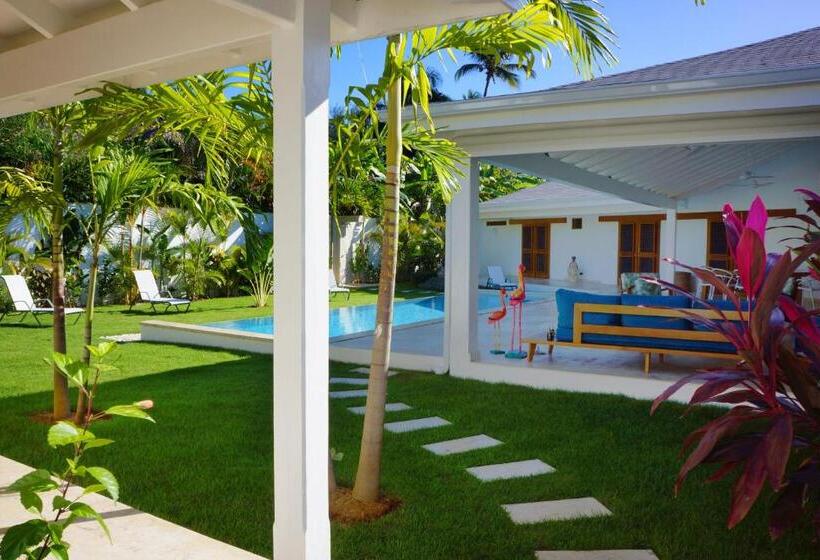 Flor De Coco, Villa Neuve, 5 Chambres, 5 Salles De Bains Et Grande Piscine à 250 Mètres De La Plage