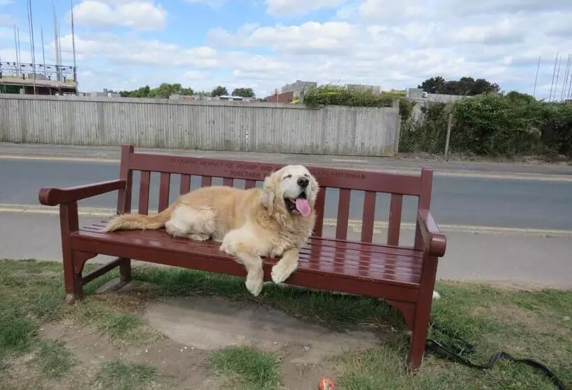 The Feed Room At Eastmoor Farm