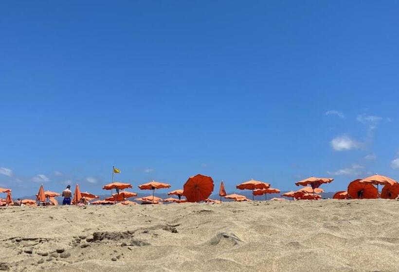 Tisalaya Bright Apartment