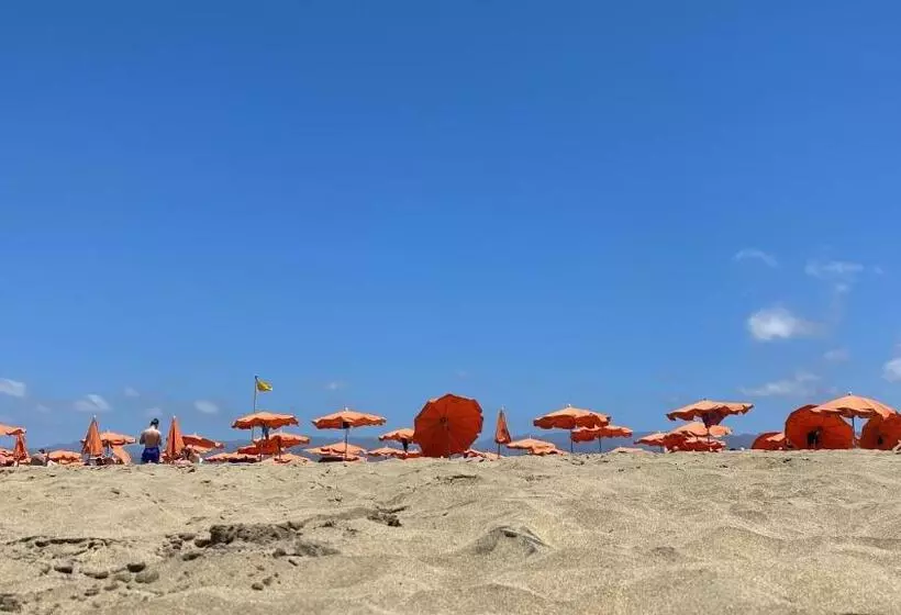 Tisalaya Bright Apartment