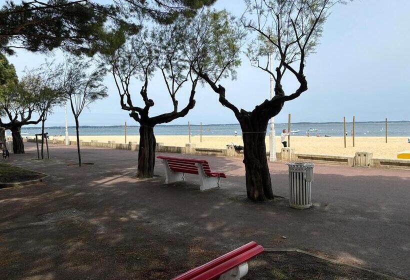 3 Pieces Avec Terrasse Entre Plage Et Centre Ville