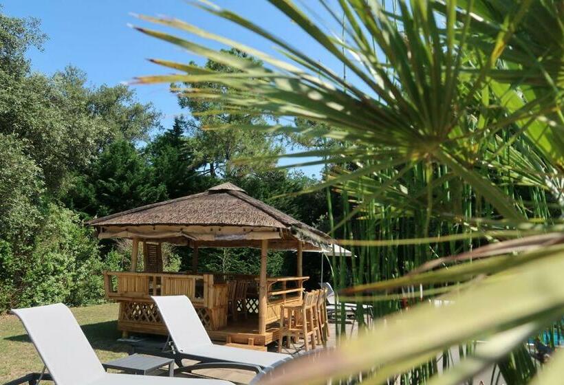 ベッドアンドブレックファースト Au K Ré