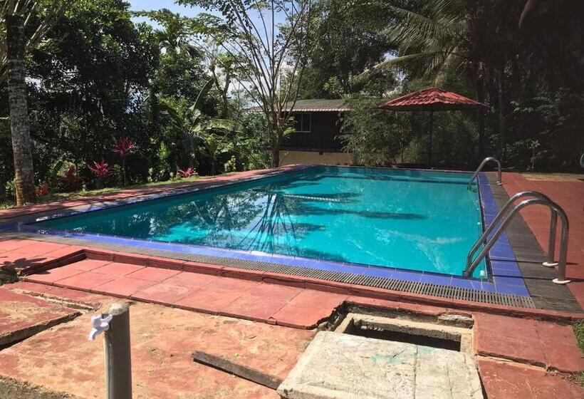 Hotell Discovery Resort