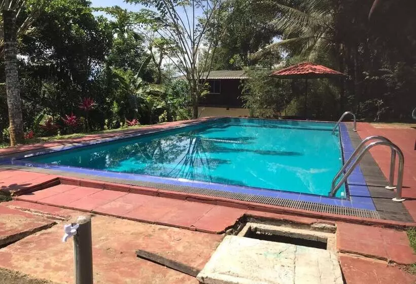 Hotelli Discovery Resort