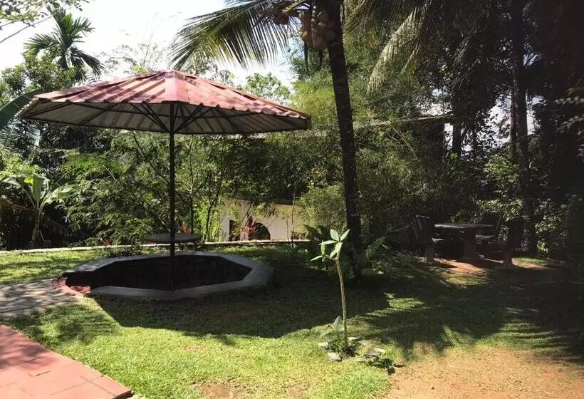 Hotelli Discovery Resort