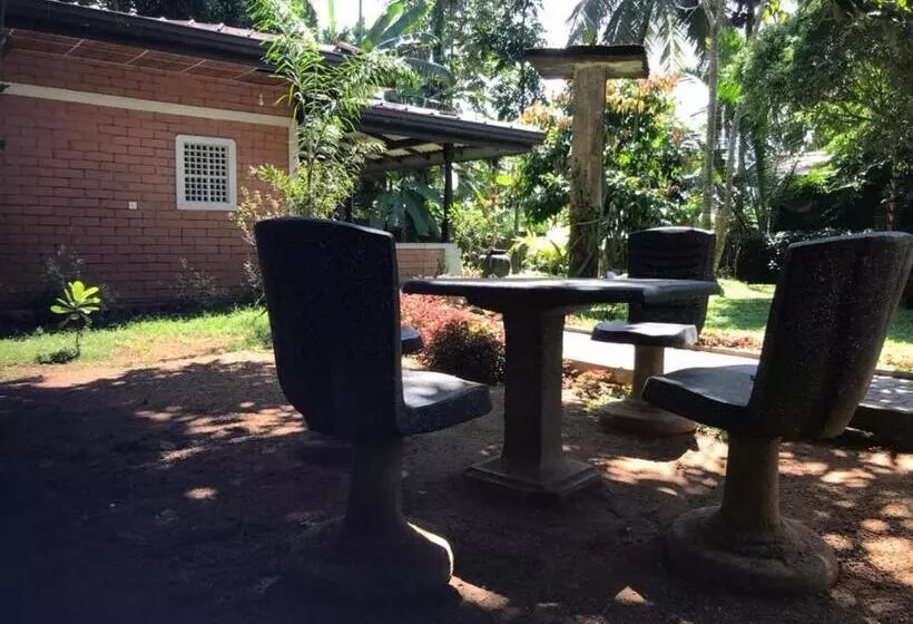 Hotelli Discovery Resort