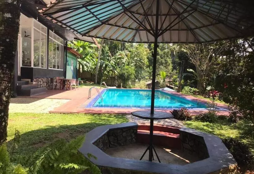 Hotelli Discovery Resort