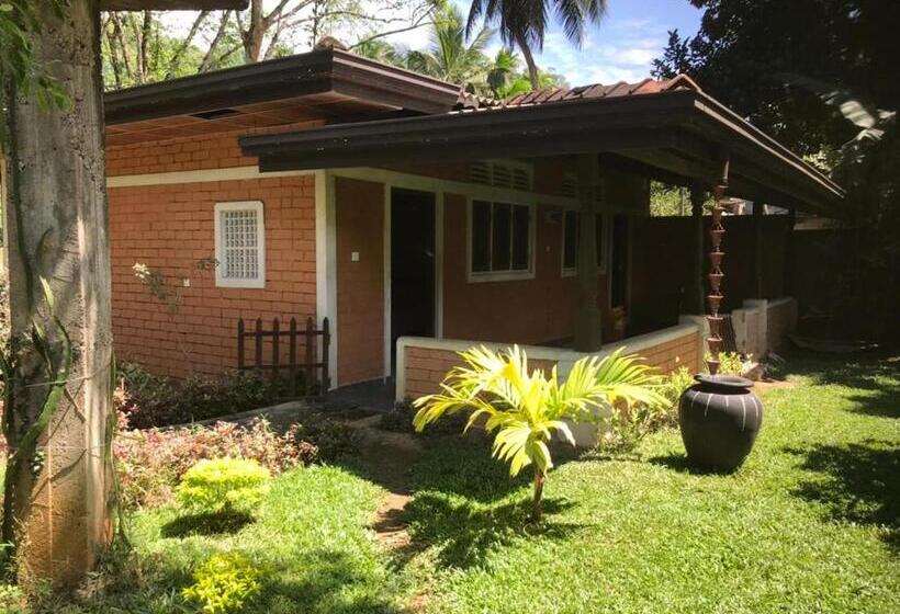 Hotel Discovery Resort