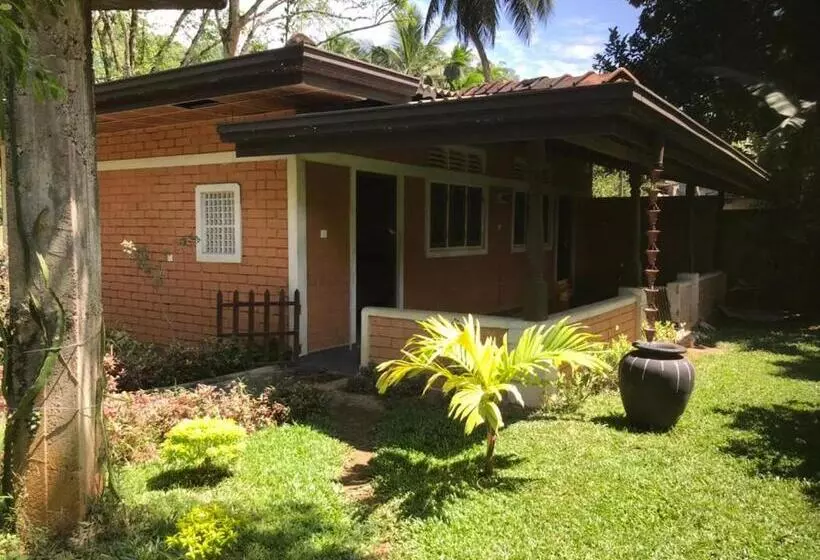 Hotelli Discovery Resort