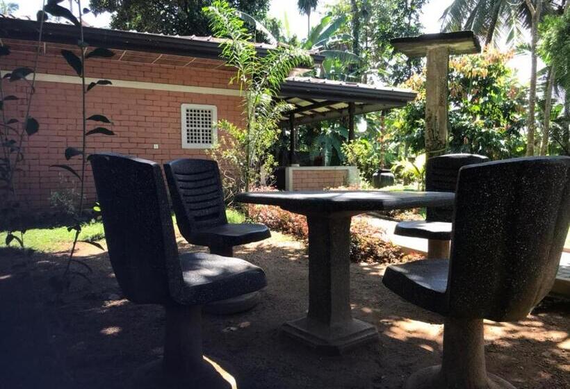 Hotel Discovery Resort