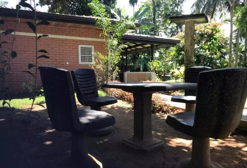 Hotelli Discovery Resort