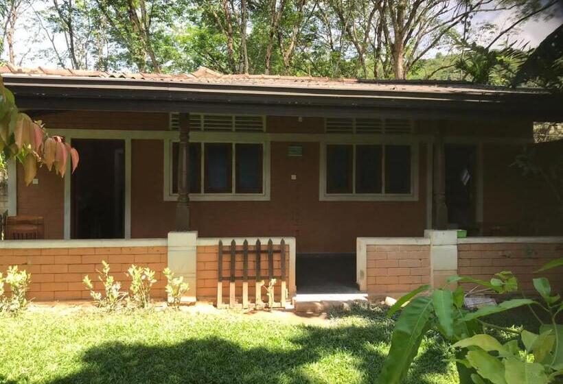 Hotel Discovery Resort