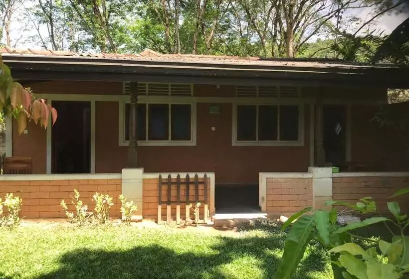 Hotelli Discovery Resort