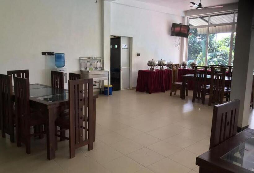 Hotel Discovery Resort