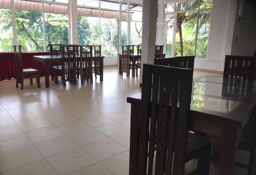 Hotel Discovery Resort