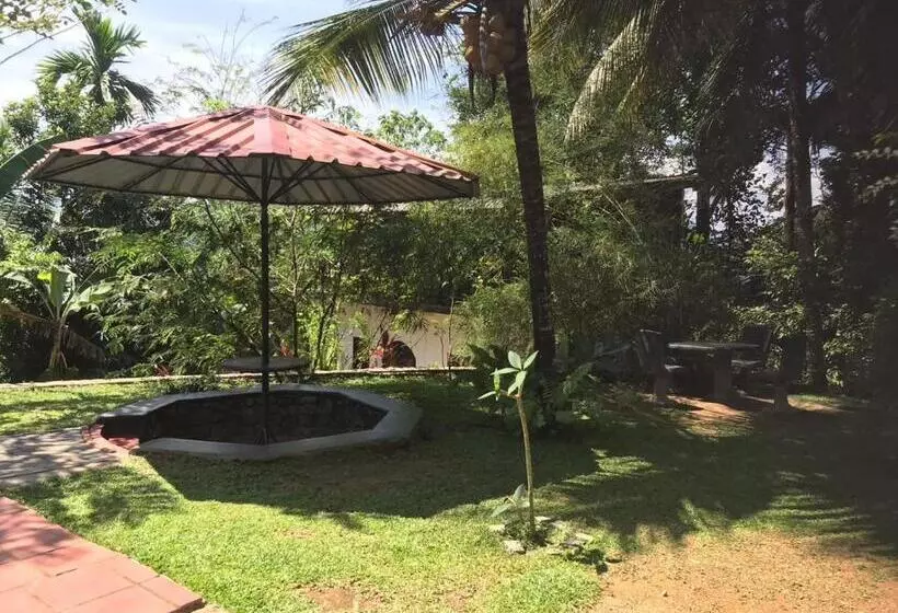 Hotelli Discovery Resort