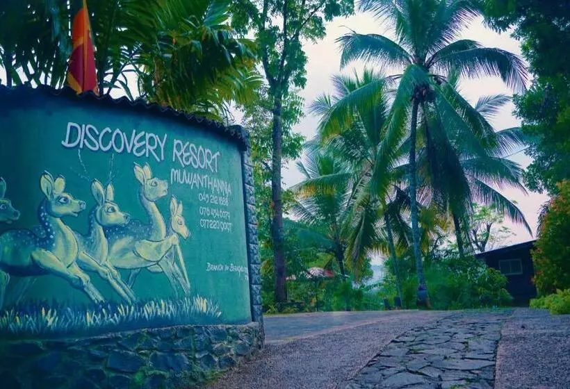 Hotelli Discovery Resort