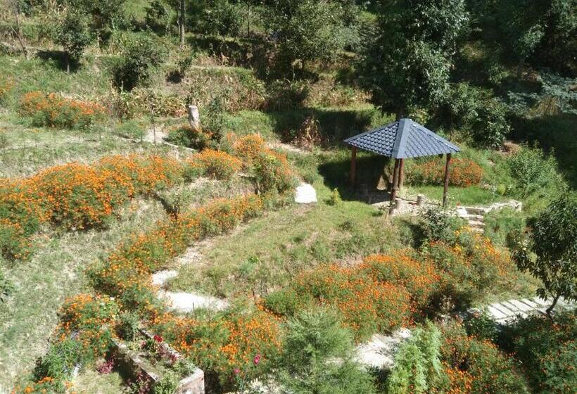 Hotell Francolin Lodge Farmstay @ Darima