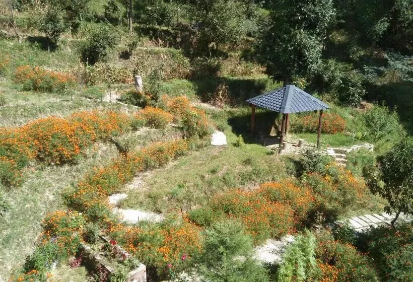 ホテル Francolin Lodge Farmstay @ Darima