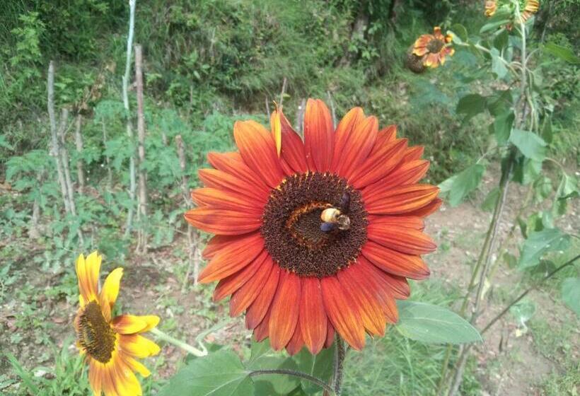 Hotell Francolin Lodge Farmstay @ Darima