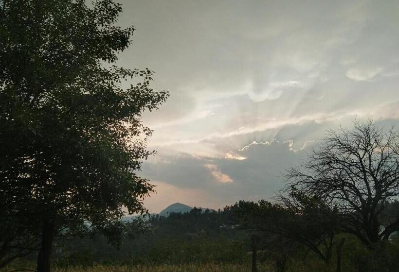 Hotell Francolin Lodge Farmstay @ Darima