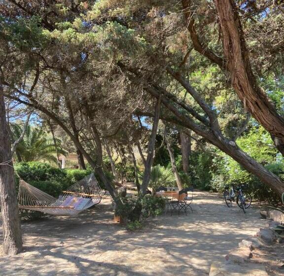 پانسیون Villa Zinnibiri