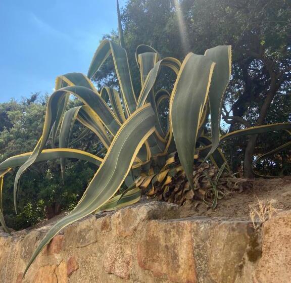 پانسیون Villa Zinnibiri