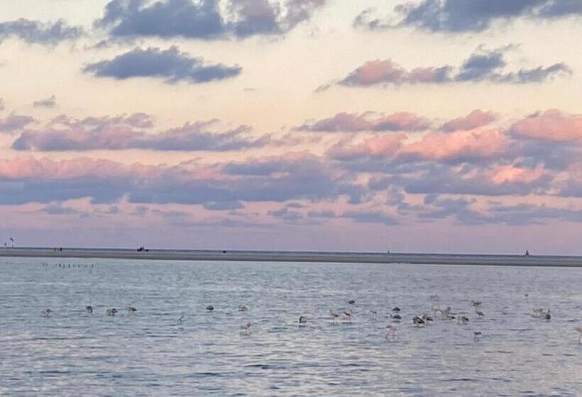 پانسیون Villa Zinnibiri