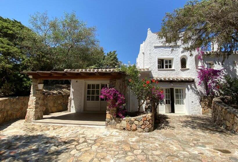 پانسیون Villa Zinnibiri