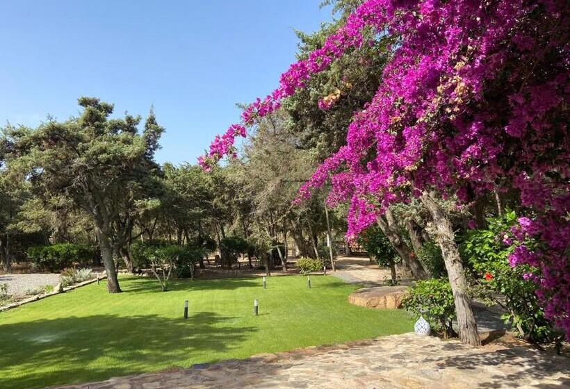 پانسیون Villa Zinnibiri