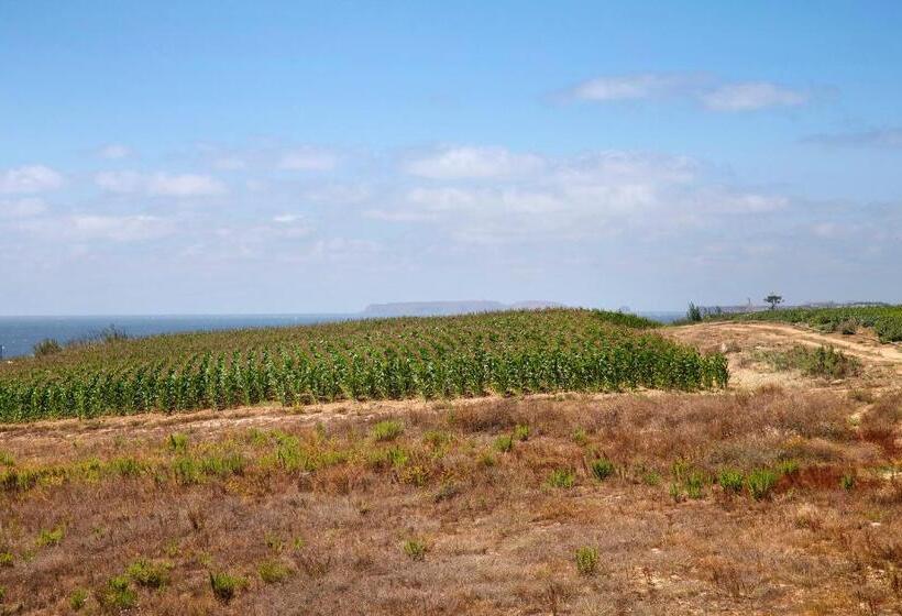 Sao Bernardino Beach House